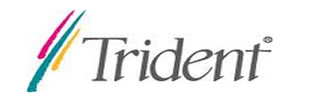 Trident Display Drivers Download