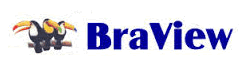 Braview Gaming Drivers Download
